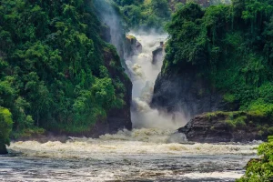 murchison-falls-car-rental-safaris