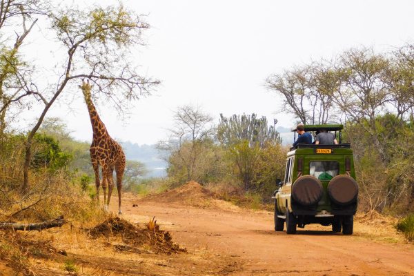 4x4 Rwanda Car Rental