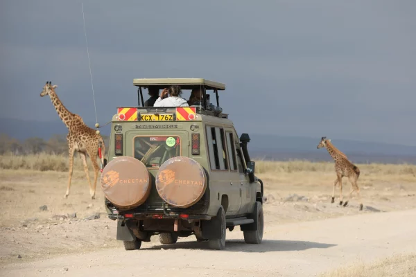 Kenya Car Rental with Rooftop