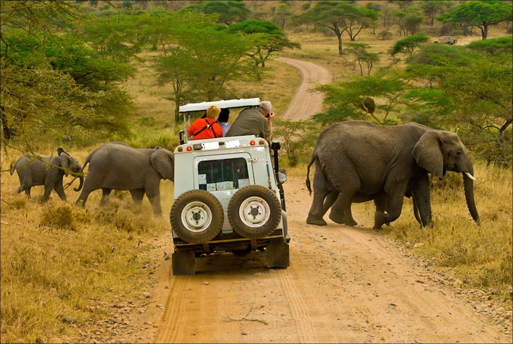 Self Drive Murchison Falls National Park