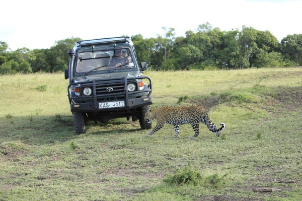 Self Drive Safari Kenya