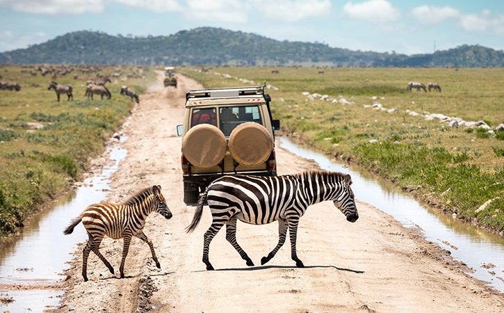 masai-mara to Serengeti