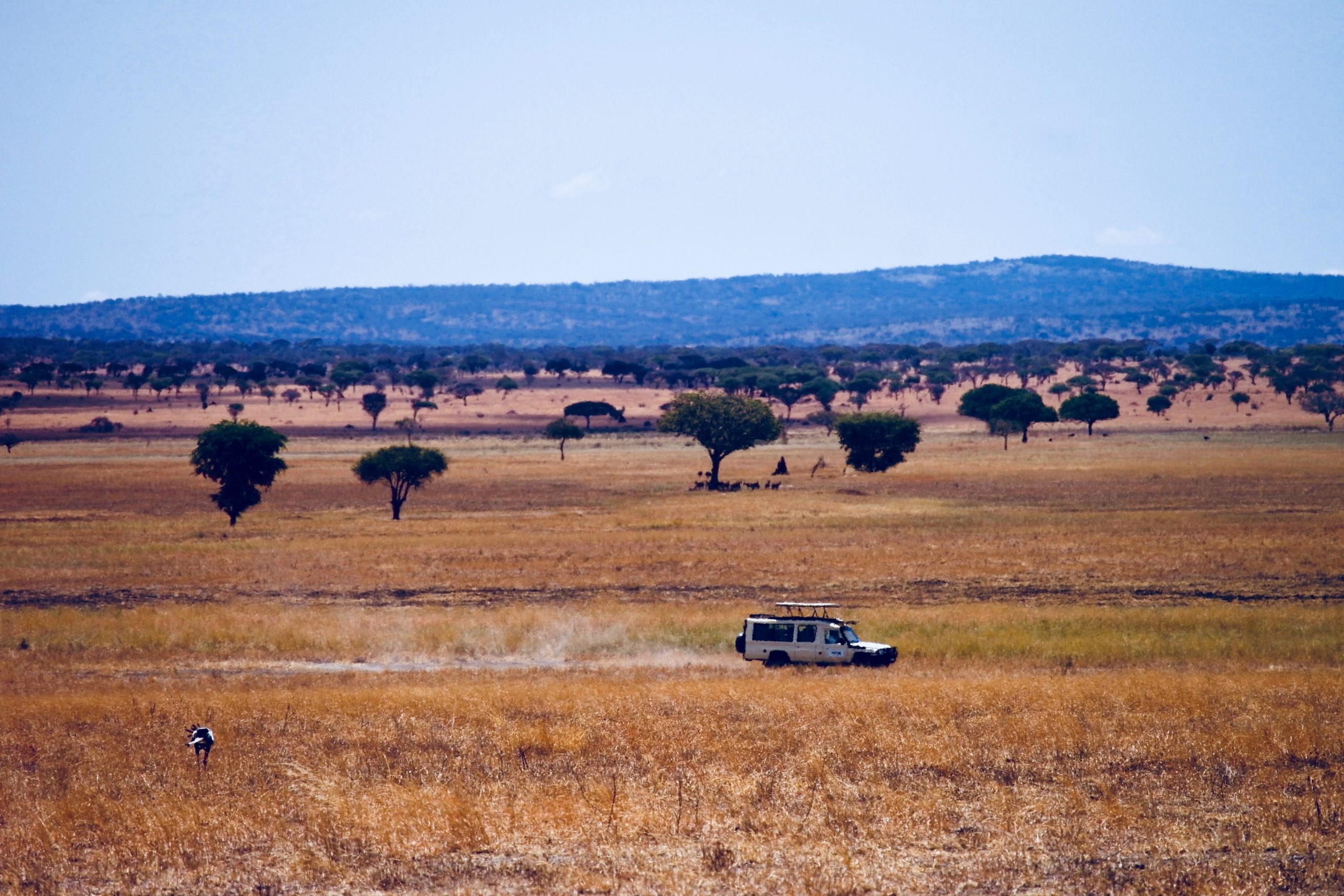 First-Time Self-Drive East Africa