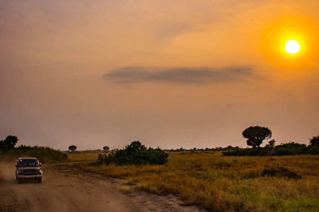 self drive queen Elizabeth National park