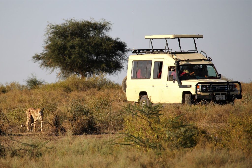 safari car rental tanzania