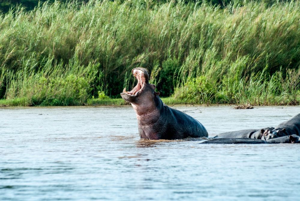 Rusizi National Park