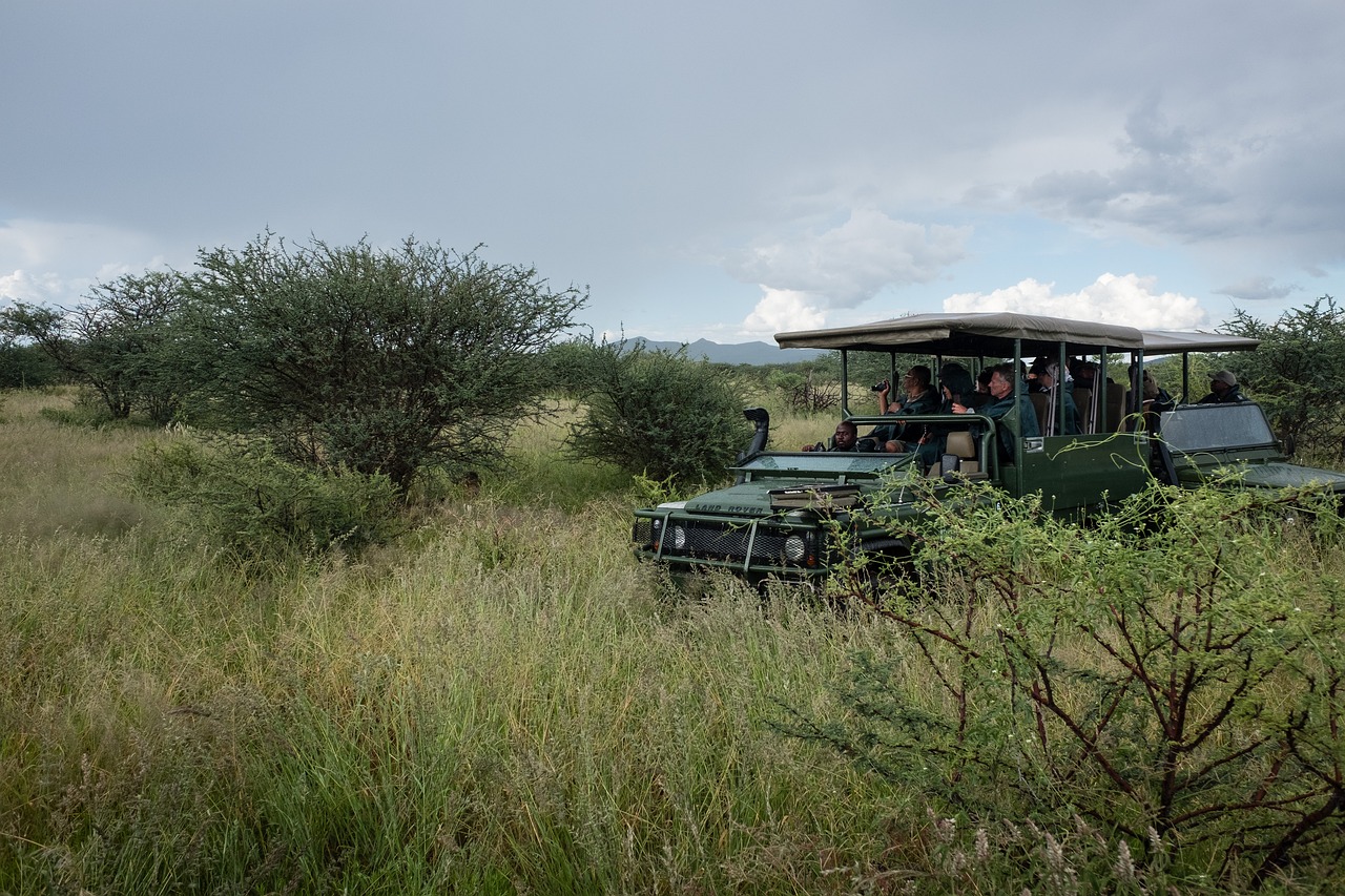 Car Rental Uganda with pop up roof top