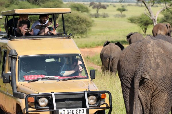 4x4 car rental Botswana with Pop up rooftop