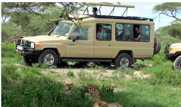 4x4 car rental madagascar with Pop up roof top