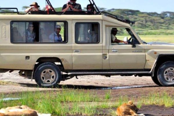 4x4 Zimbabwe with a Popup rooftop