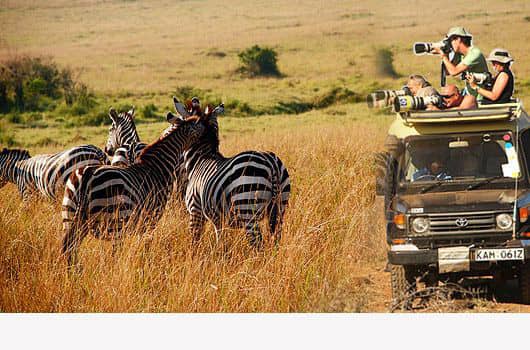4x4 zambia with a driver or guide