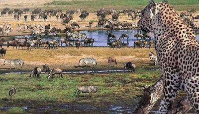 1 day trip lake Manyara national Park