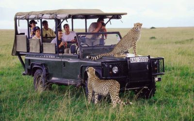 3 days affordable Tanzania Safari