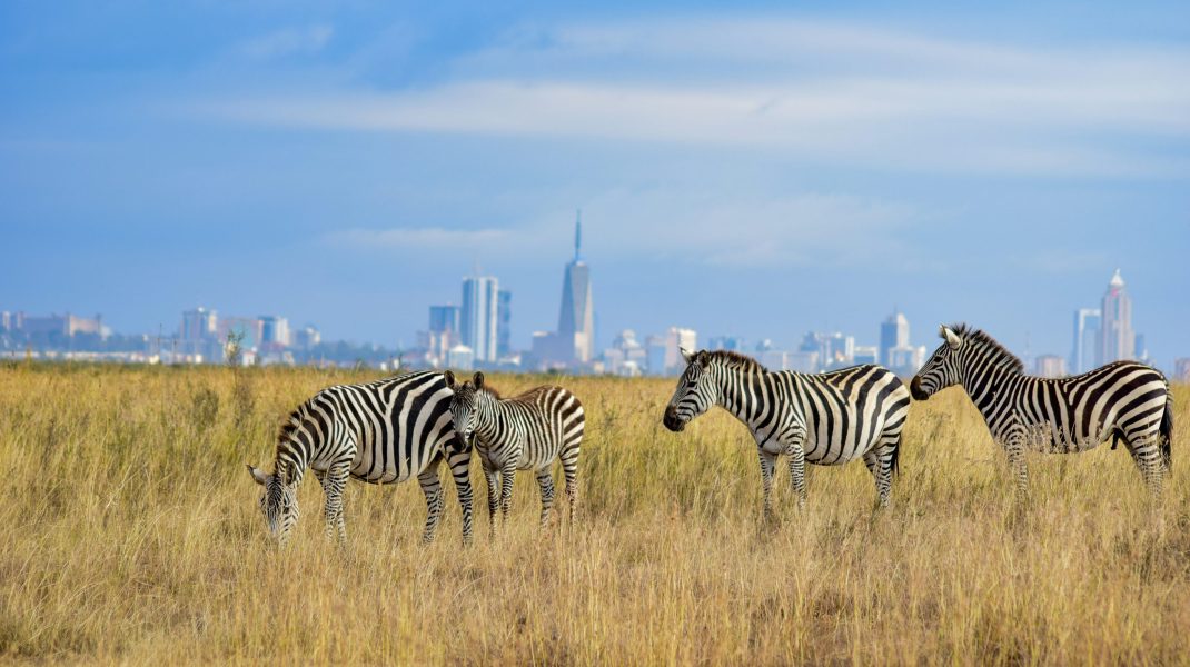 Amboseli Park