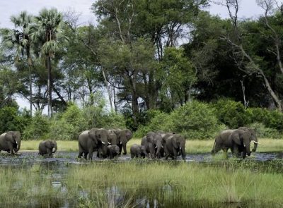 Botswana, SouthAfrica and Namibia