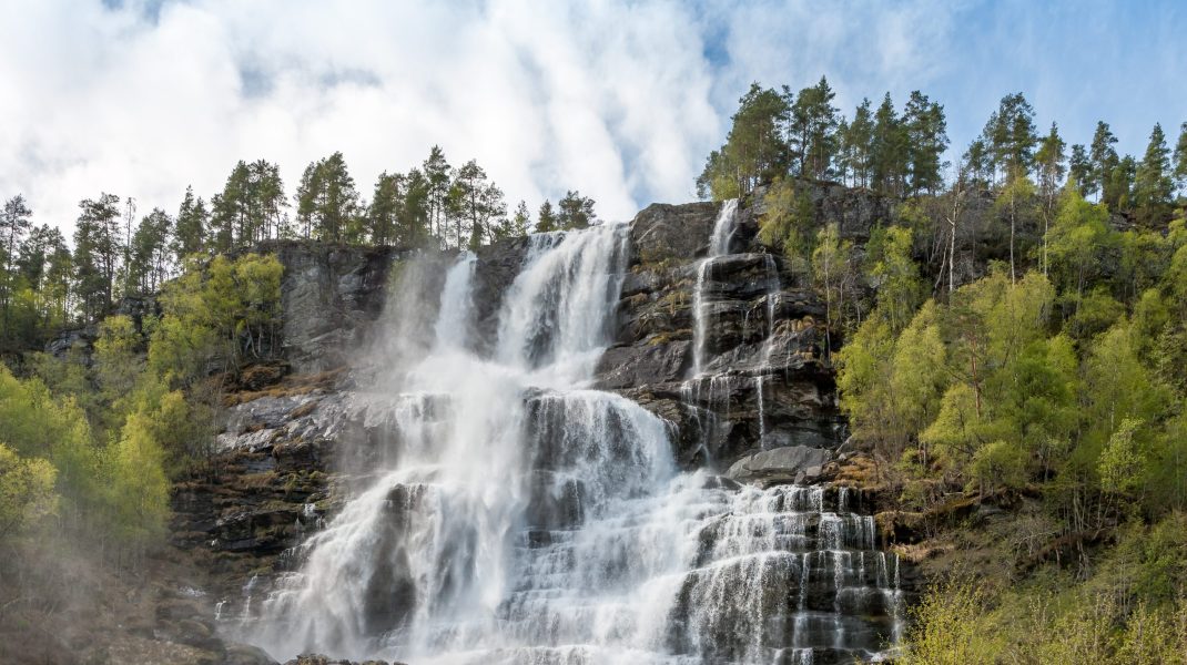 Aberdare National park