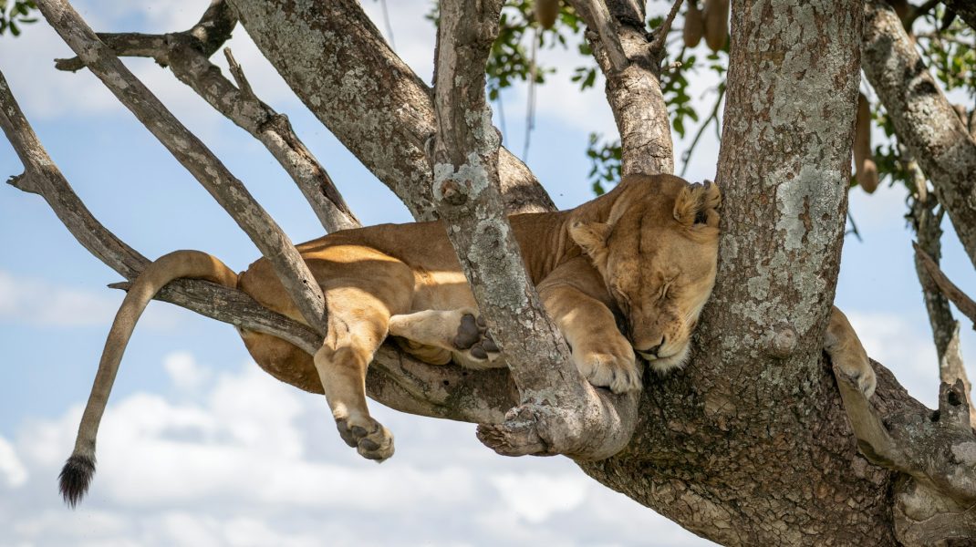 Lake Manyara