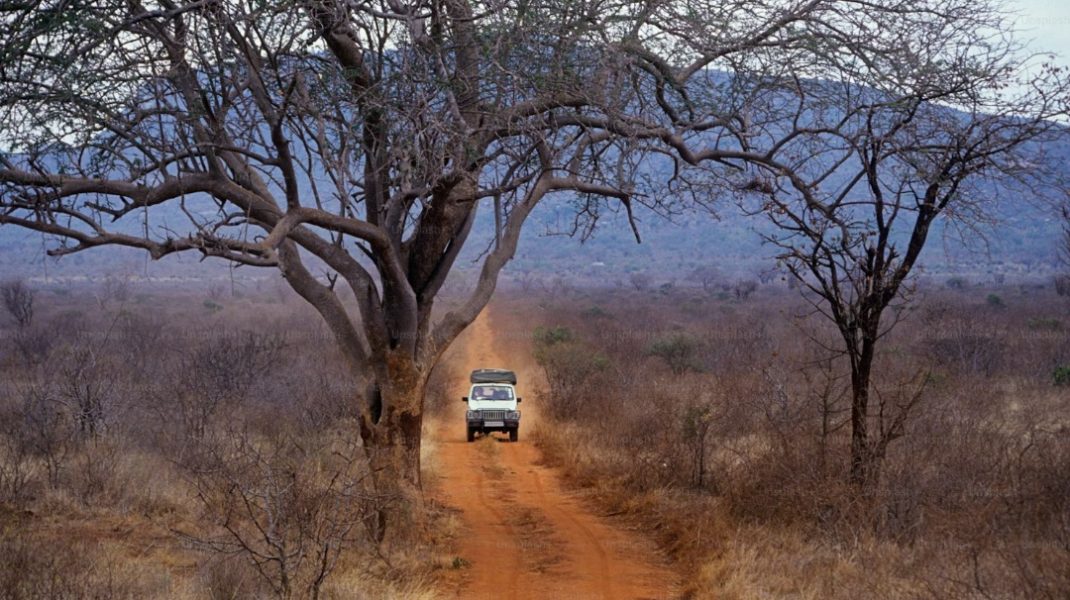 Masai Mara Game drive