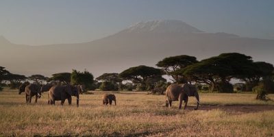 Amboseli National Park Kenya interesting places