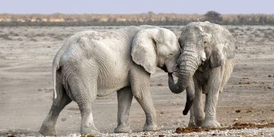 Chyulu Hills National Park Kenya Interesting places