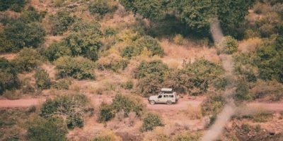 Lake Manyara National Park interesting places