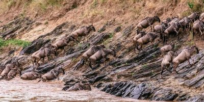 Masai Mara Kenya Interesting places