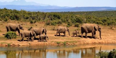 Meru National Park Kenya Interesting places