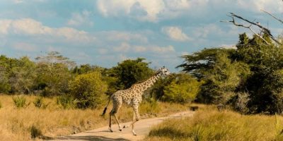 Saadani National Park interesting places