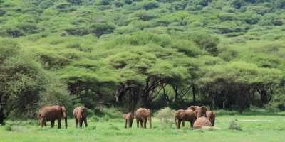 interesting places Ngorongoro Crater Tanzania