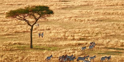 serengeti-tanzania-interesting-places