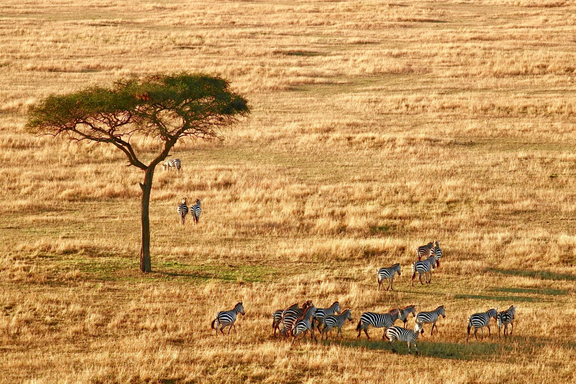 serengeti-tanzania-interesting-places