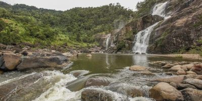 Ranomafana Natinal Park