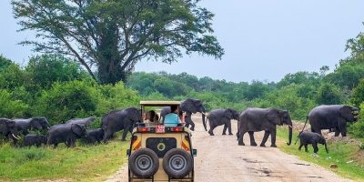 Queen Elizabeth National park Queen Elizabeth National park