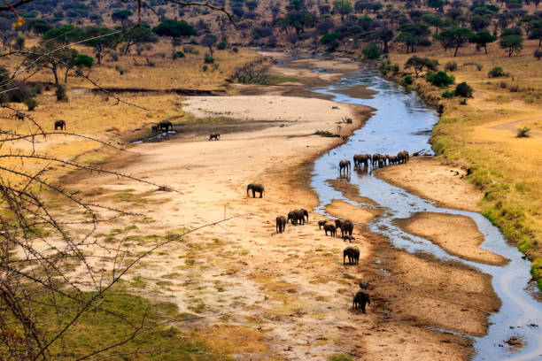4x4 Self-Drive Tarangire