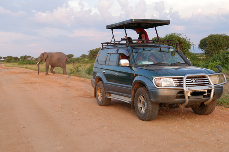 21-Day East Africa Self-drive Safari