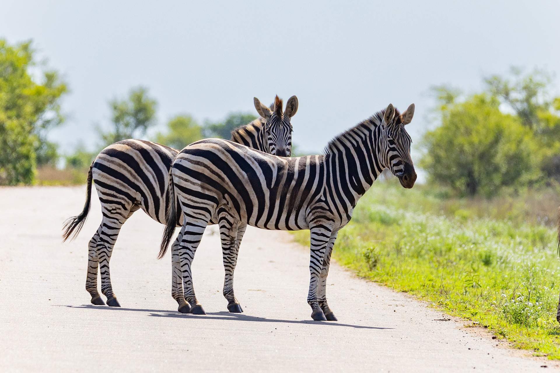 First-Time Self Drive Safari East Africa