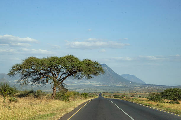 Long East African Road Trip