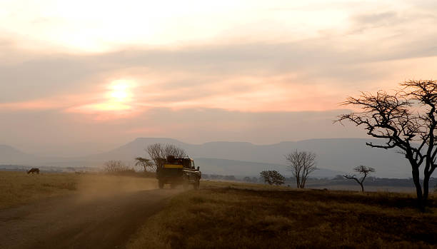 Multi-Country Journey