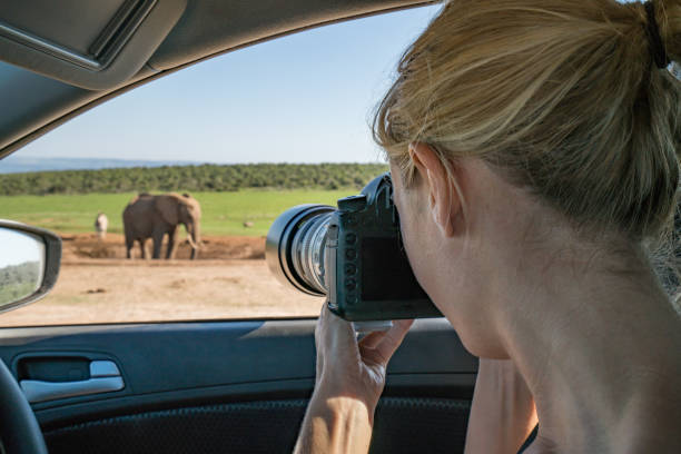 Photography or Longer Wildlife Drives