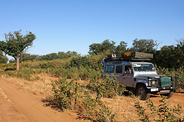 Self-Drive African Safari