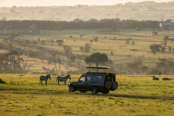 Tanzania to Kenya