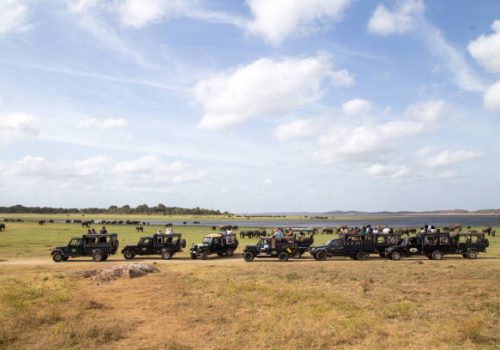 Multi-Country Safaris