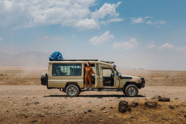 Tanzania Safari