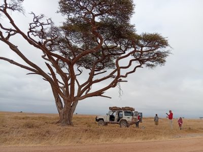 Camping Safaris in East Africa
