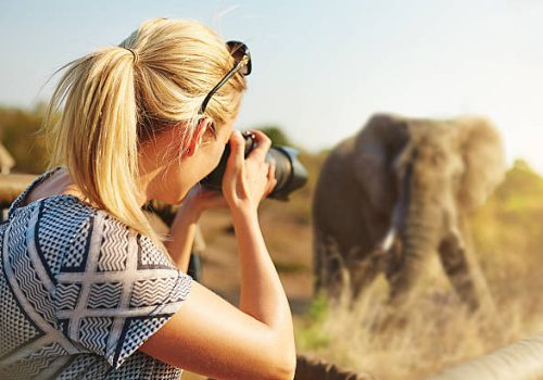 photography safari